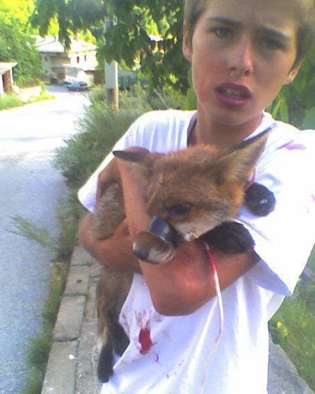 Why you need to know about Luke Rowles incredible fox rescue